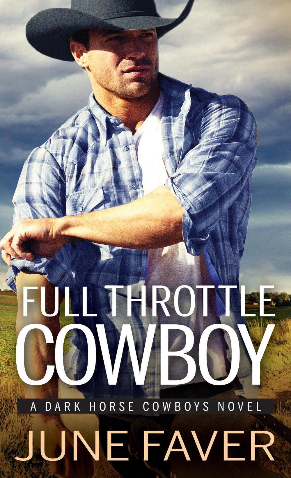 When to Call a Cowboy by June Faver - ISBN: 9781492667728