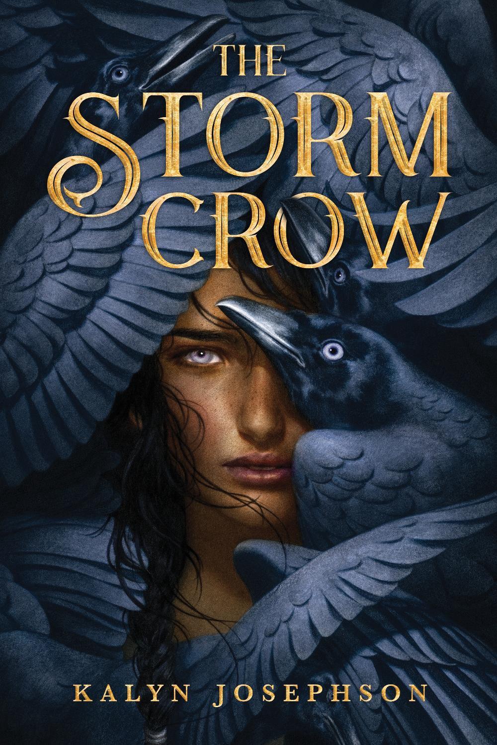 The Storm Crow by Kalyn Josephson - ISBN: 9781492672937