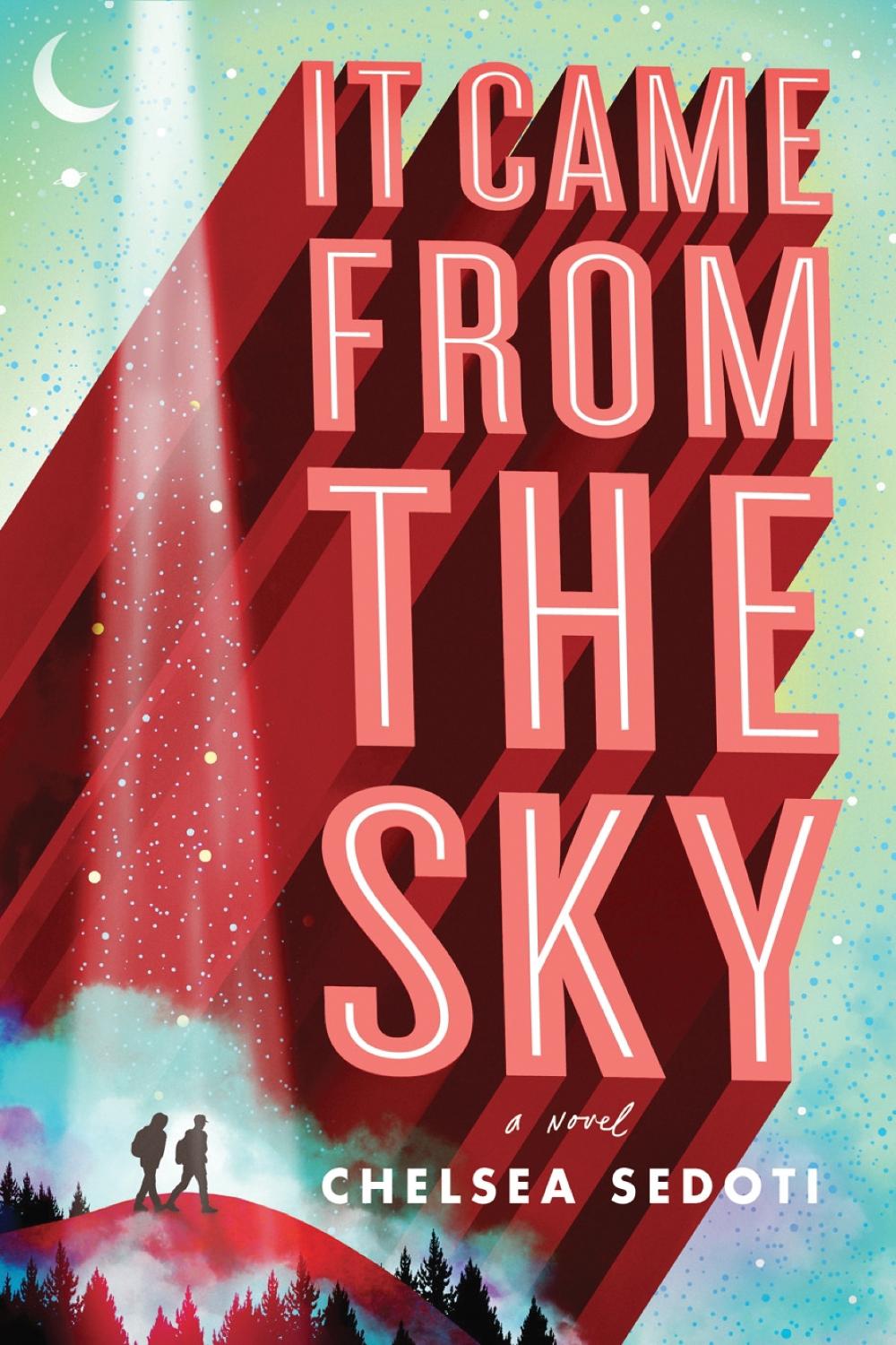 It Came from the Sky by Chelsea Sedoti - ISBN: 9781492673026