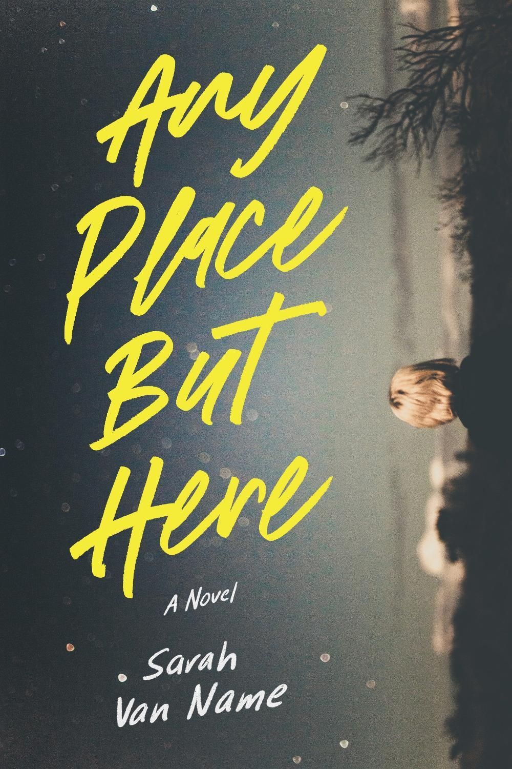 Any Place But Here by Sarah Van Name - ISBN: 9781492677062