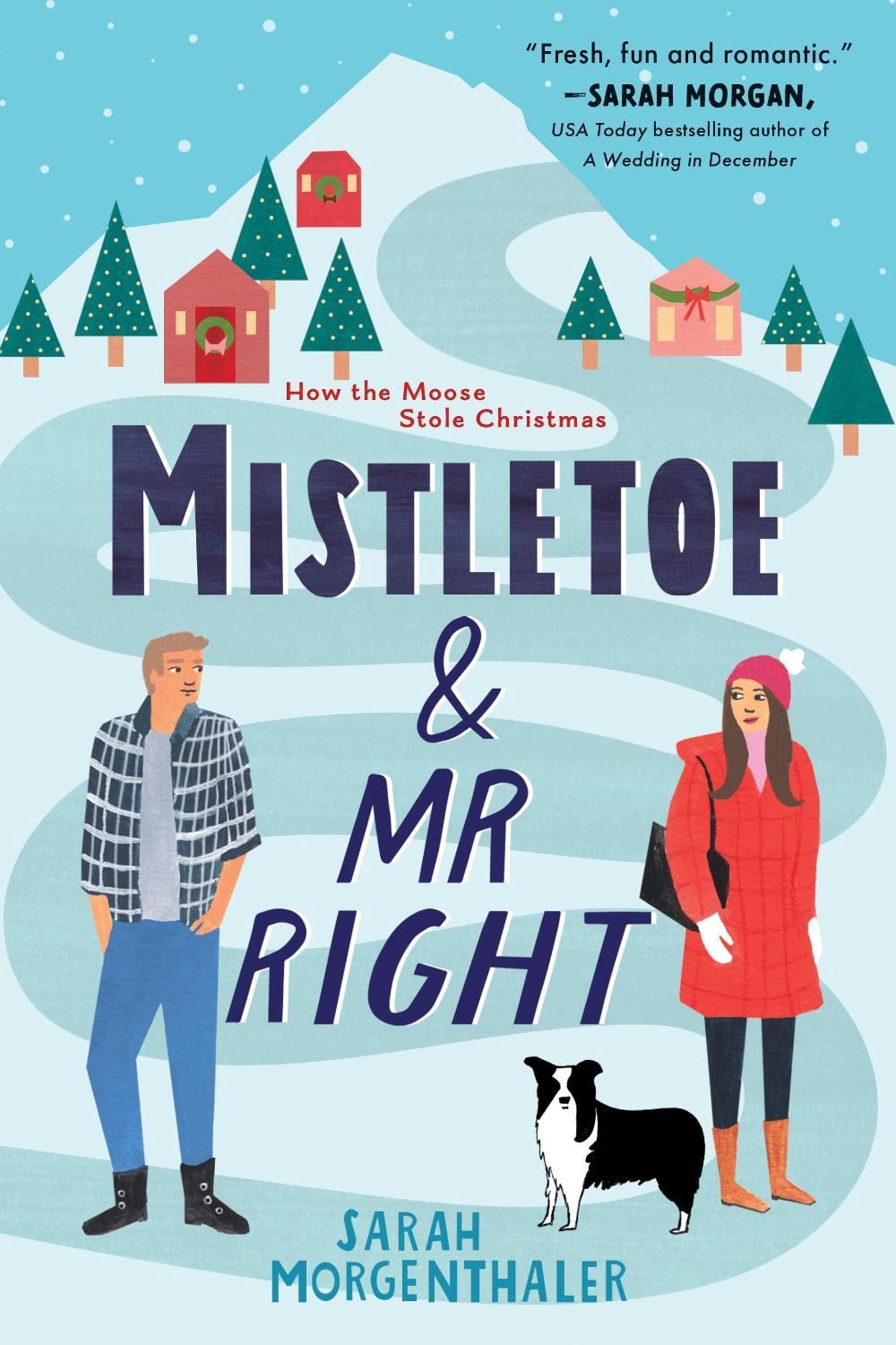 Mistletoe and Mr. Right by Sarah Morgenthaler - ISBN: 9781492693161