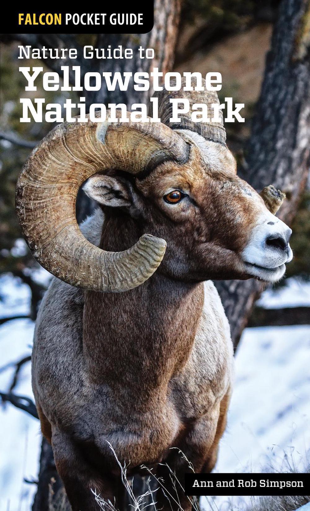 Nature Guide to Yellowstone National Park, 9781493009671