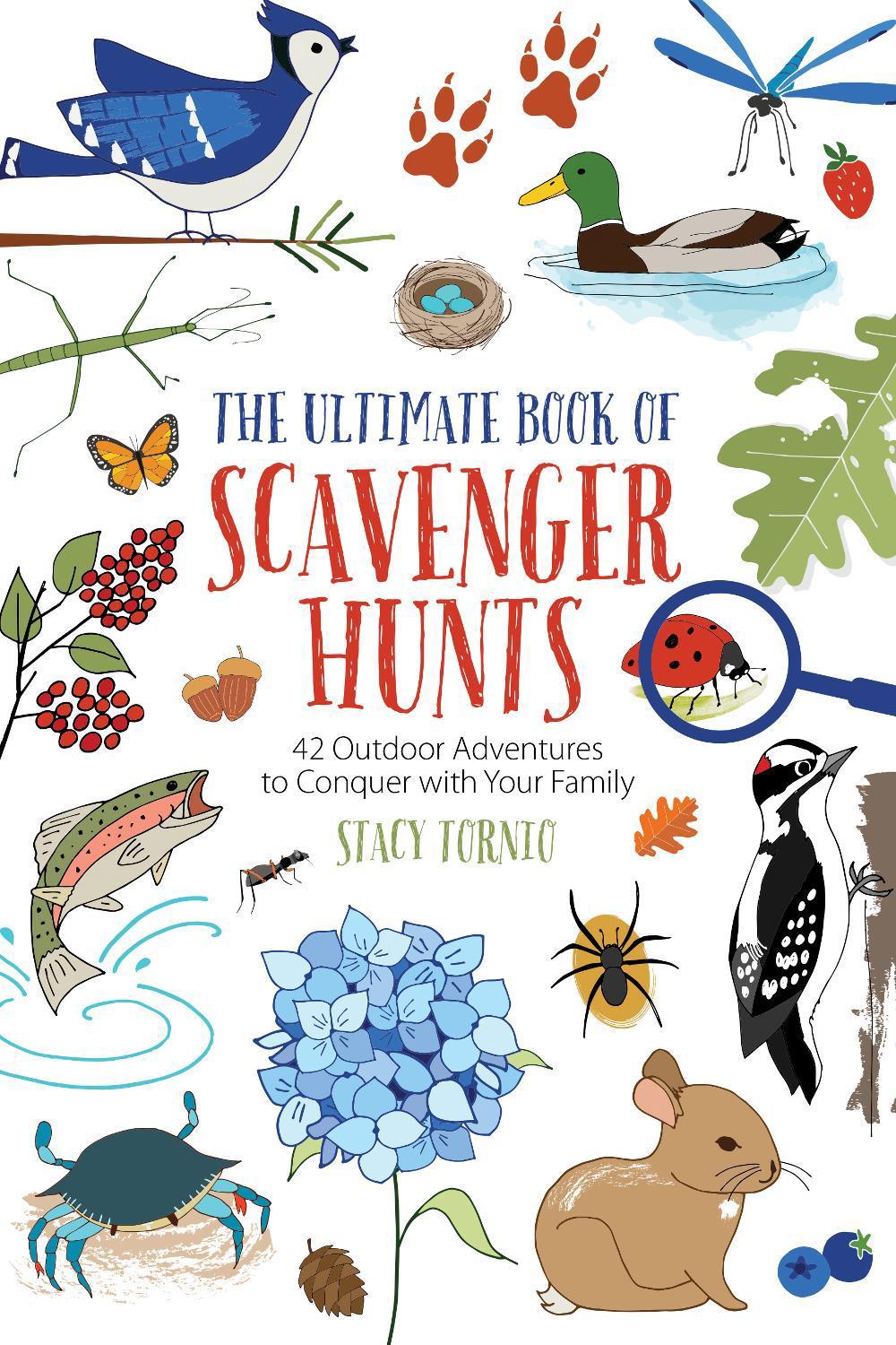 The Ultimate Book of Scavenger Hunts, 9781493051533