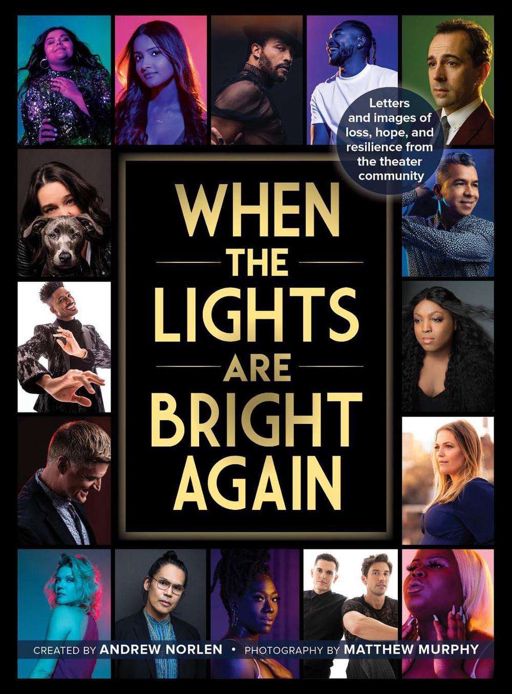 When the Lights Are Bright Again, 9781493066599