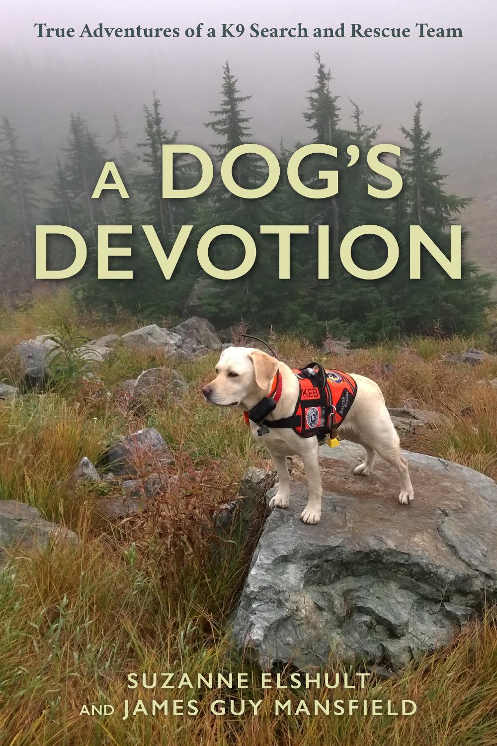 A Dog's Devotion, 9781493068715