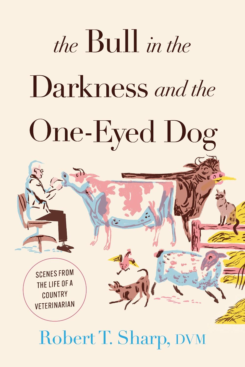 The Bull in the Darkness and the One-Eyed Dog, 9781493073177