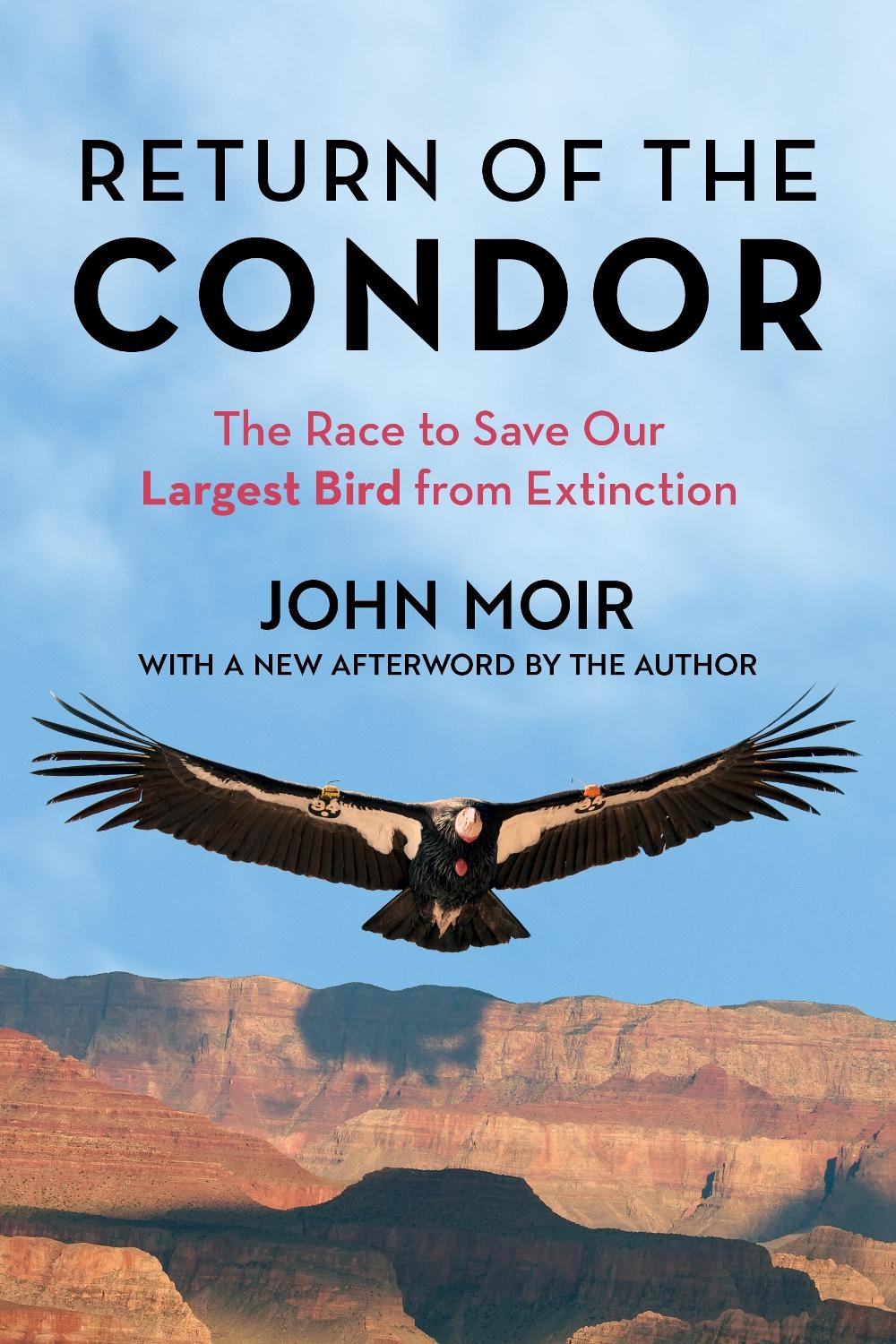 Return of the Condor by John Moir - ISBN: 9781493076659