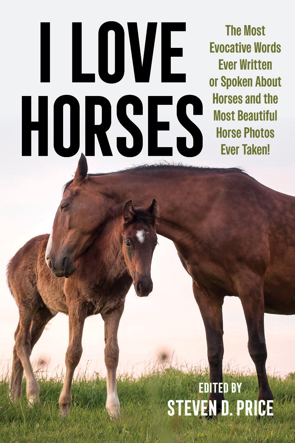 I Love Horses, 9781493086870