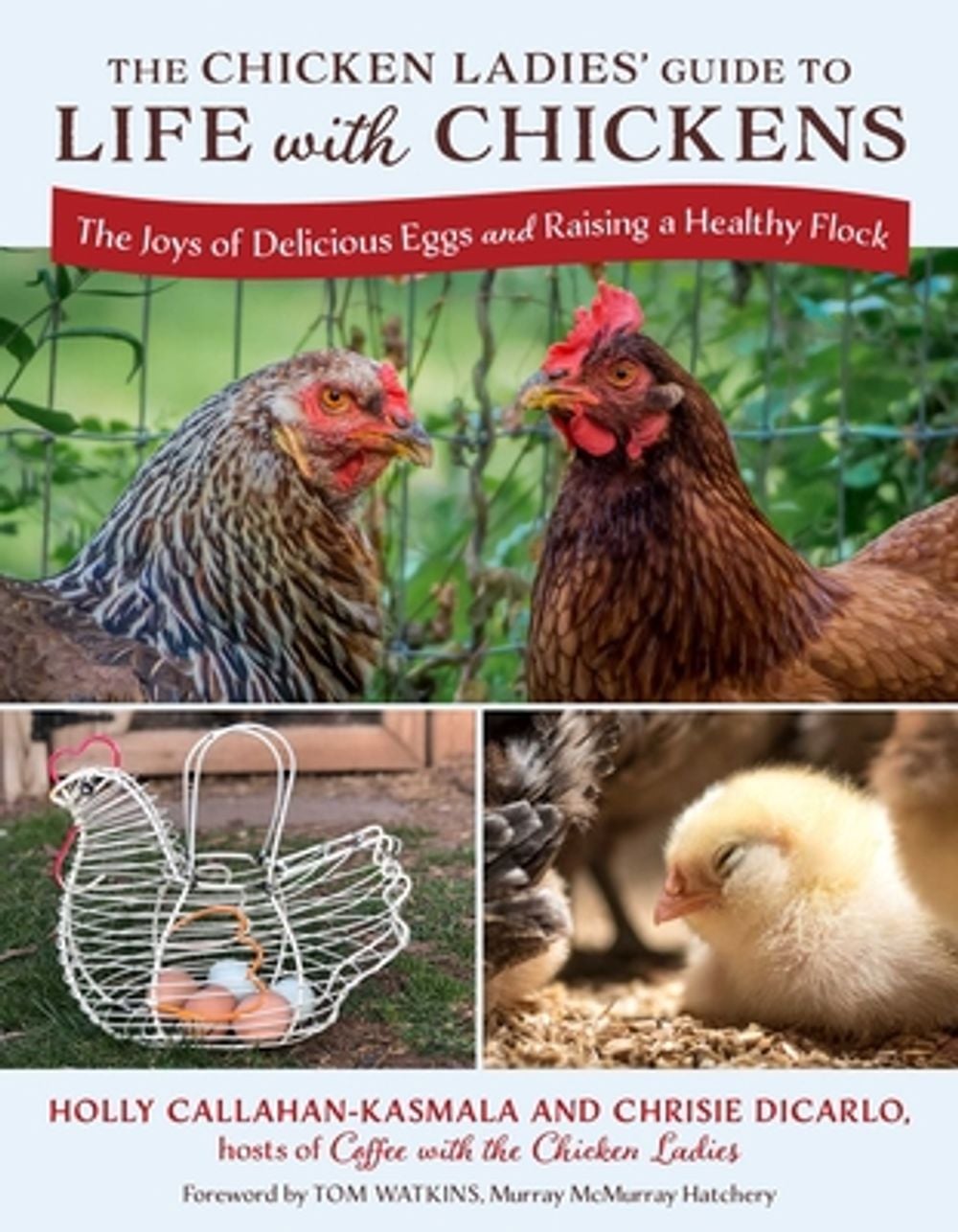 The Chicken Ladies' Guide to Life with Chickens by Holly Callahan-Kasmala - ISBN: 9781493094813