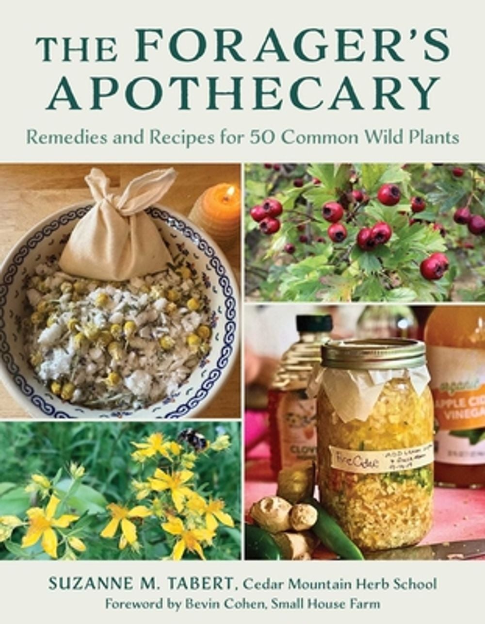 The Forager's Apothecary by Suzanne M. Tabert - ISBN: 9781493095018