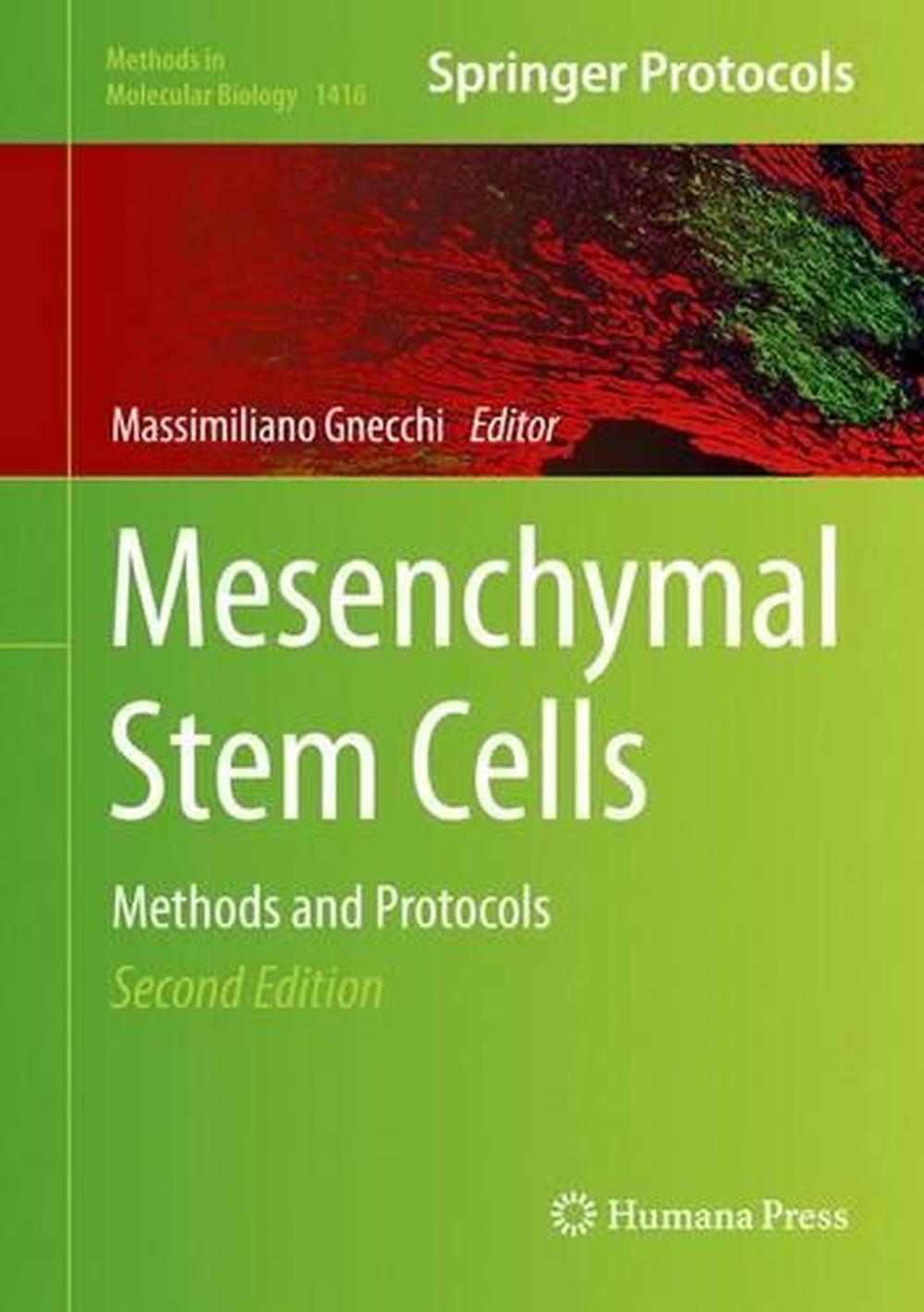 Mesenchymal Stem Cells by Massimiliano Gnecchi, Hardcover, 9781493935826 Buy online at The Nile