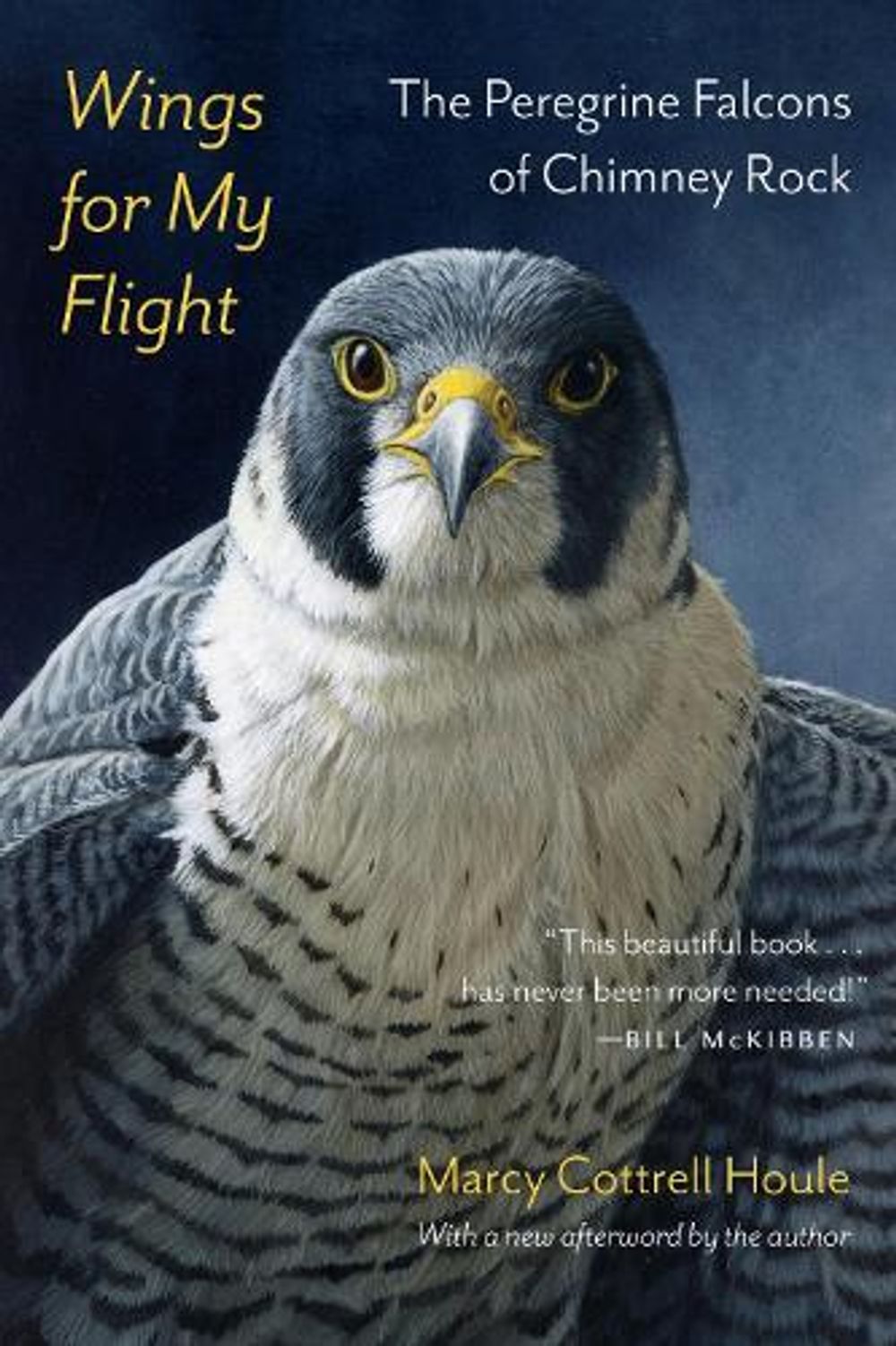 Wings for My Flight by Marcy Cottrell Houle - ISBN: 9781496249159