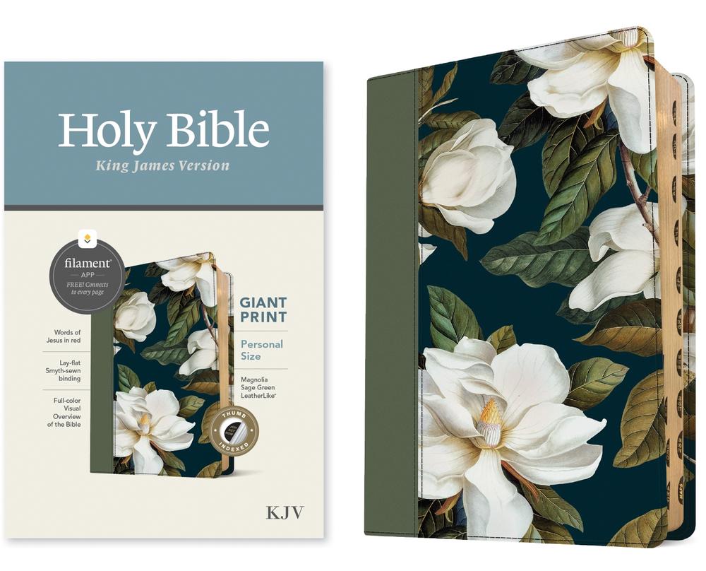 KJV Personal Size Giant Print Bible, Filament-Enabled Edition (Leatherlike, Magnolia Sage Green, Indexed, Red Letter), 9781496480095