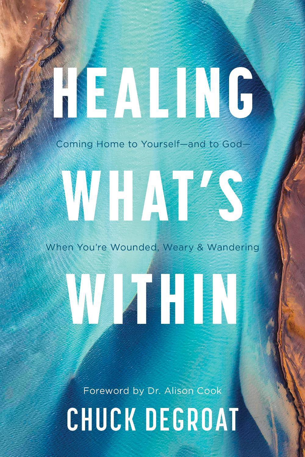 Healing What's Within by Chuck Degroat - ISBN: 9781496483140