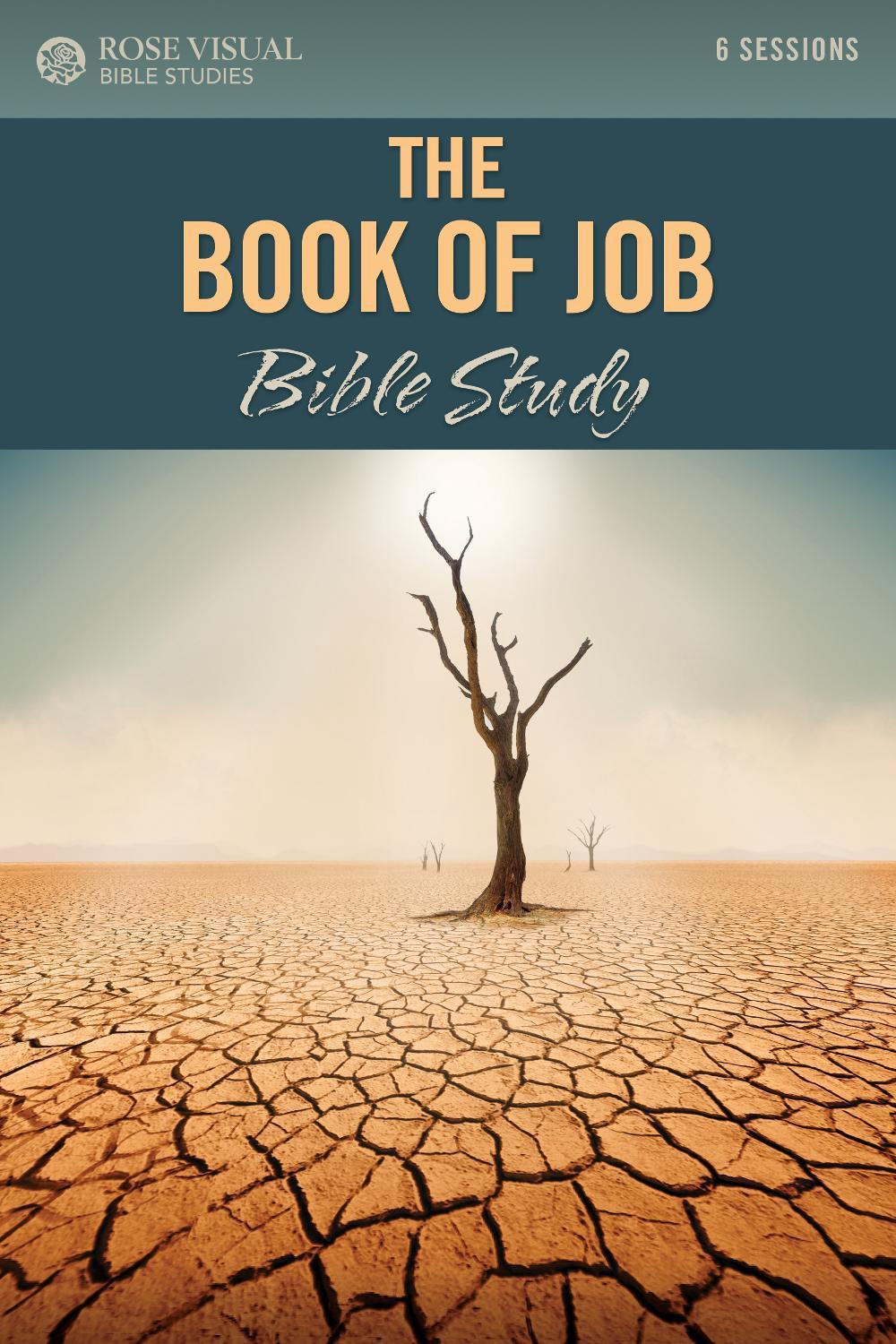 Rose Visual Bible Studies by Rose Publishing - ISBN: 9781496490360