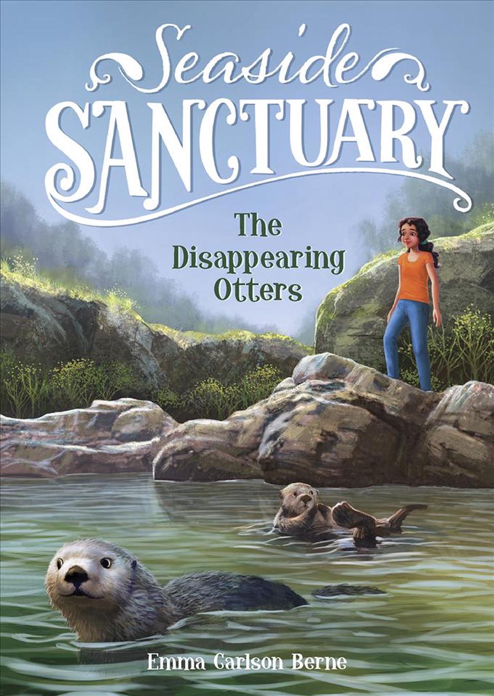 The Disappearing Otters, 9781496578600