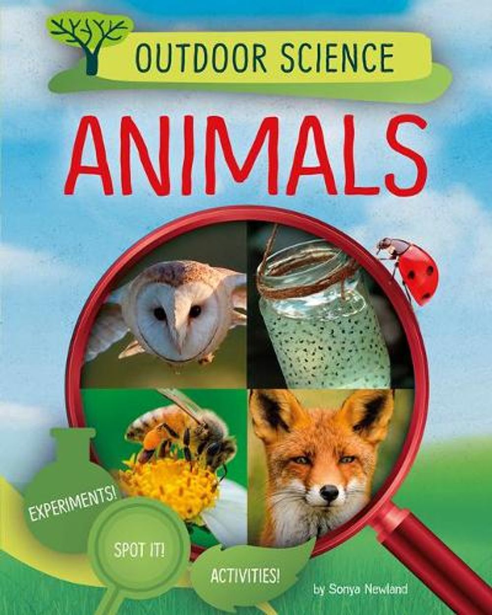 Animals by Sonya Newland - ISBN: 9781496657930