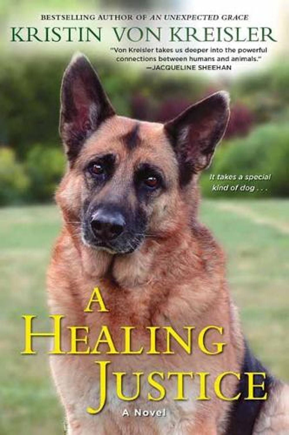 A Healing Justice by Kristin Von Kreisler - ISBN: 9781496700452