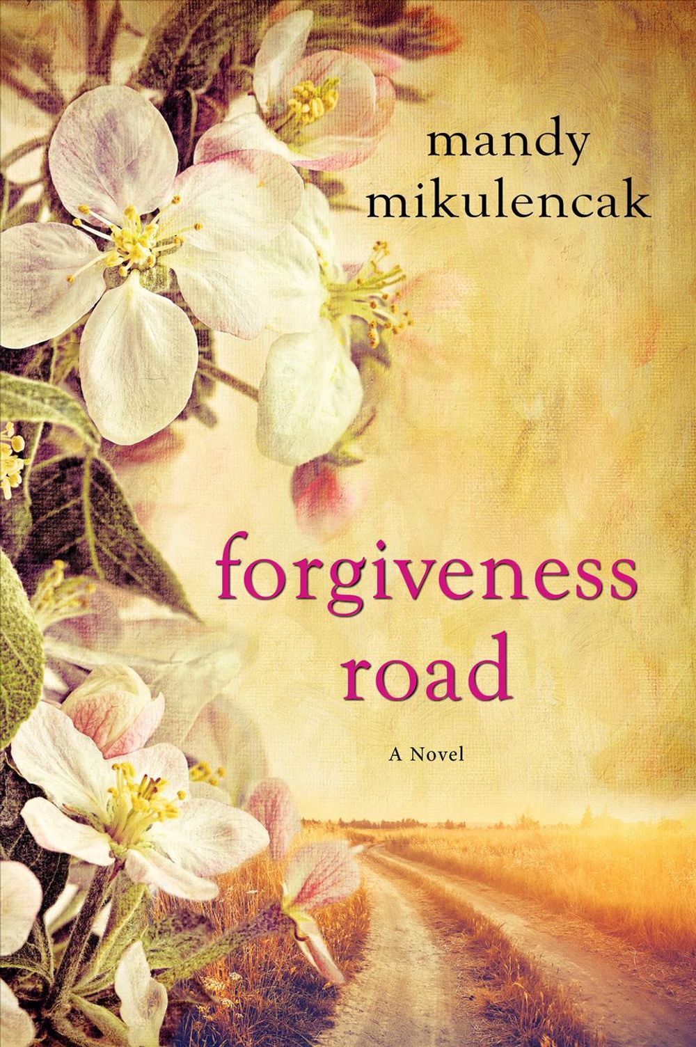 Forgiveness Road by Mandy Mikulencak - ISBN: 9781496710062
