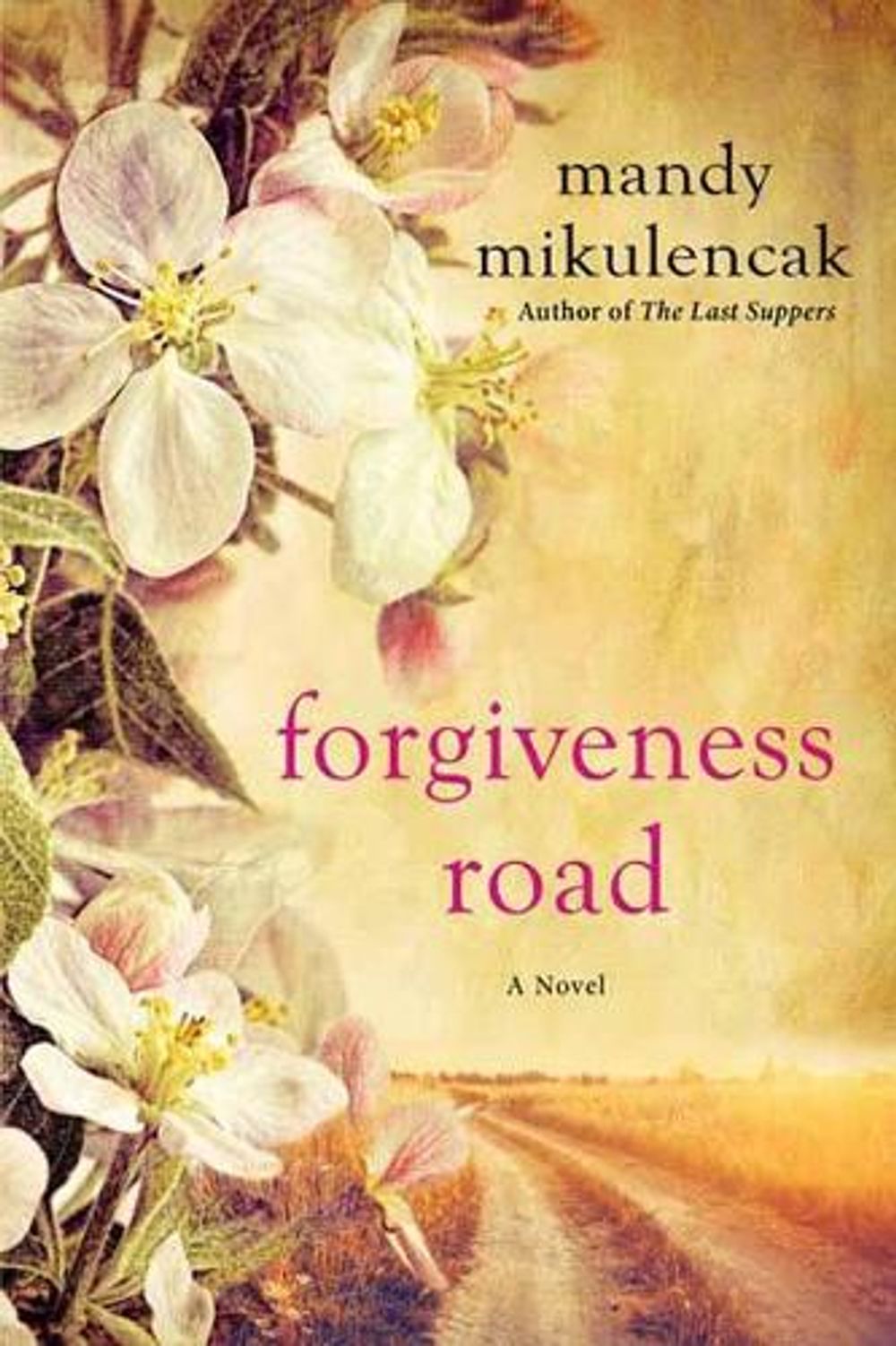 Forgiveness Road by Mandy Mikulencak - ISBN: 9781496710079