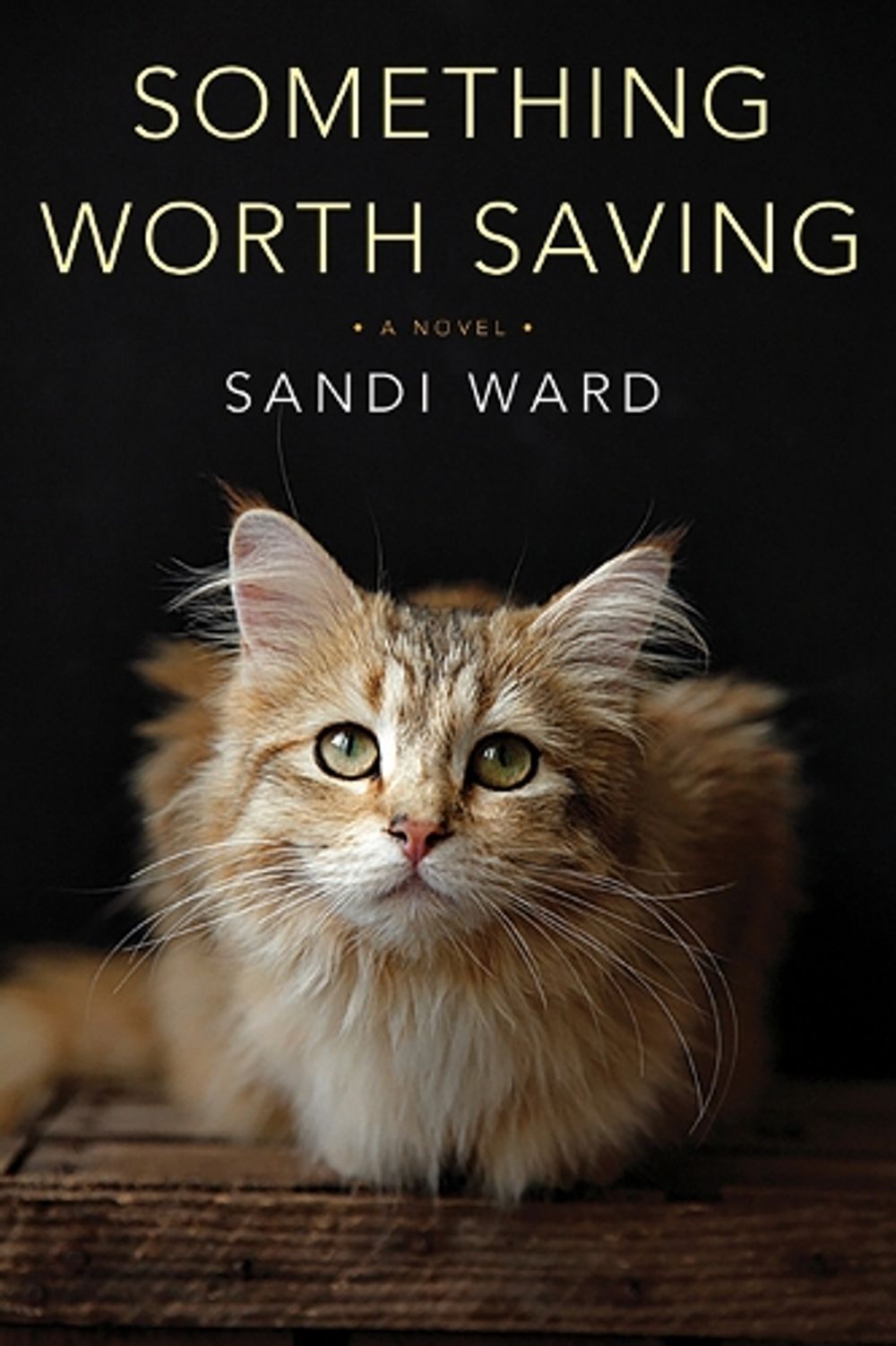 Something Worth Saving by Sandi Ward - ISBN: 9781496711137