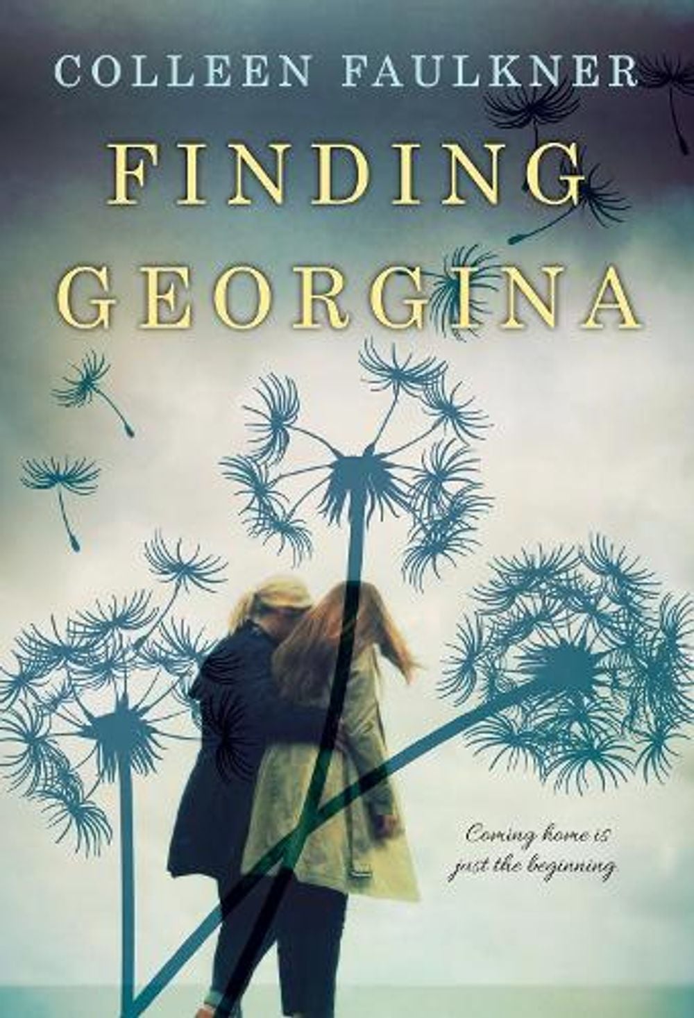 Finding Georgina by Colleen Faulkner - ISBN: 9781496711557