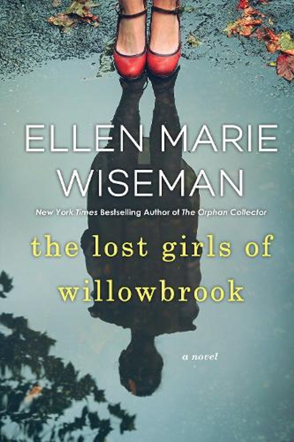 The Lost Girls of Willowbrook by Ellen Marie Wiseman - ISBN: 9781496715883
