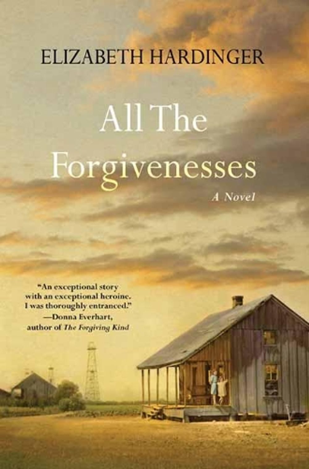 All the Forgivenesses by Elizabeth Hardinger - ISBN: 9781496720450