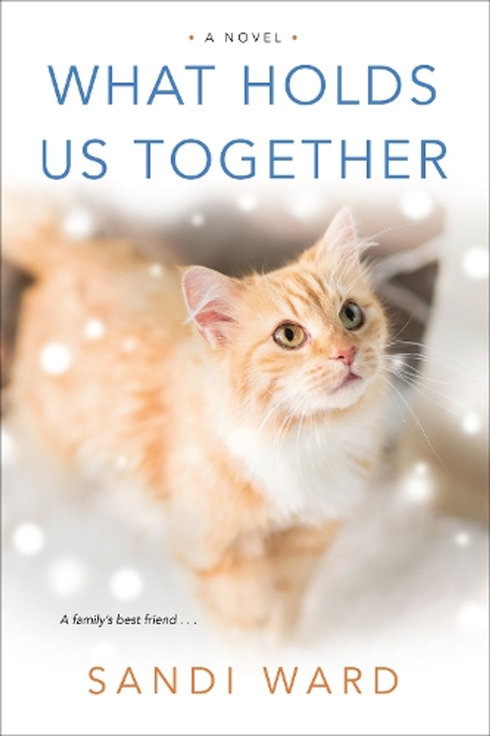 What Holds Us Together by Sandi Ward - ISBN: 9781496722270
