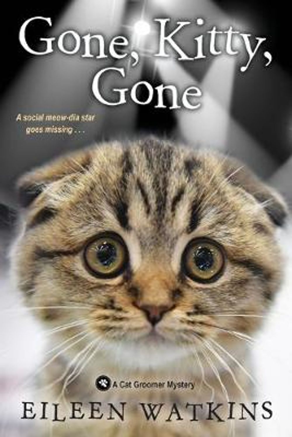 Gone, Kitty, Gone by Eileen Watkins - ISBN: 9781496722973