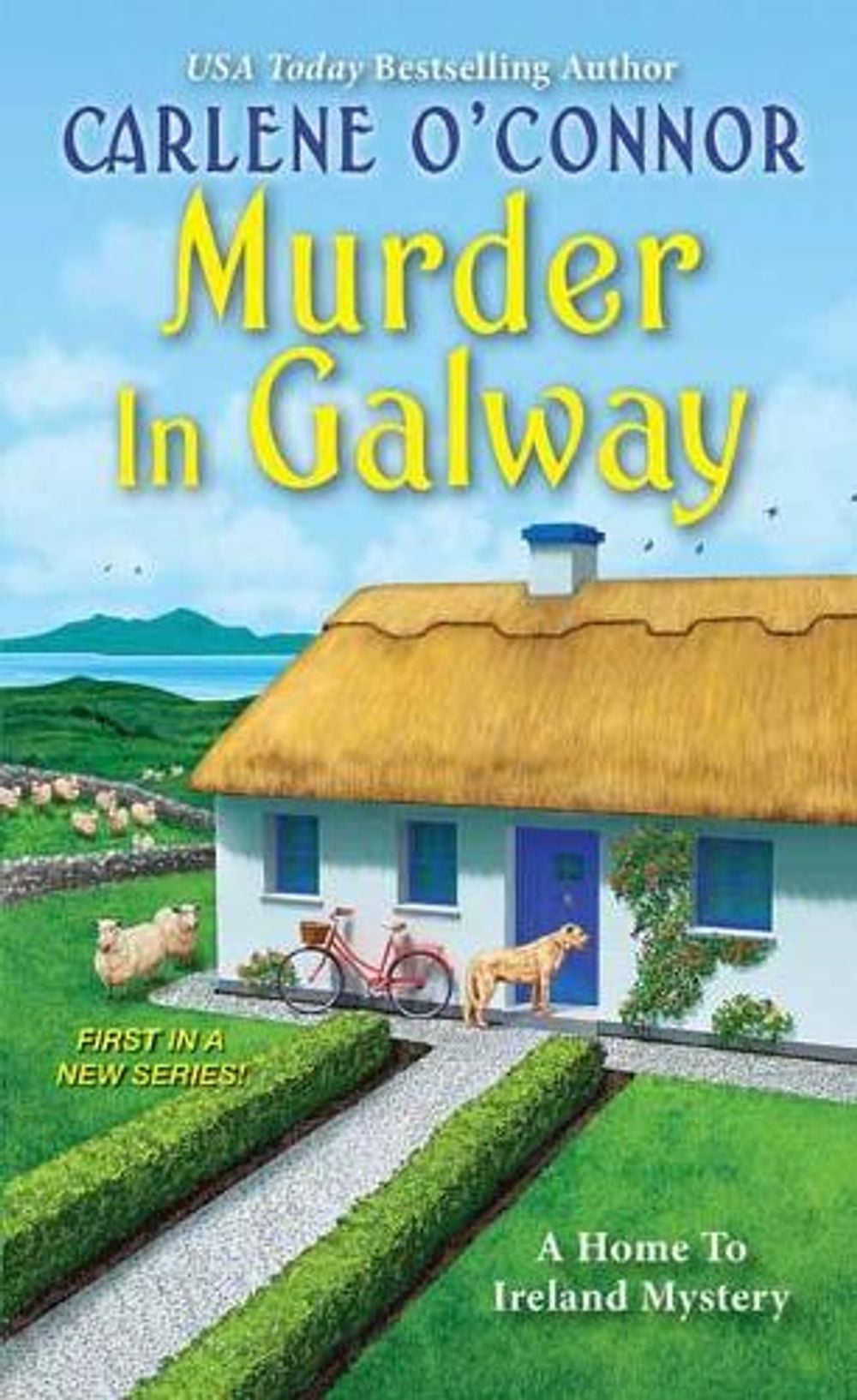 Murder in Galway by Carlene O'Connor - ISBN: 9781496724472