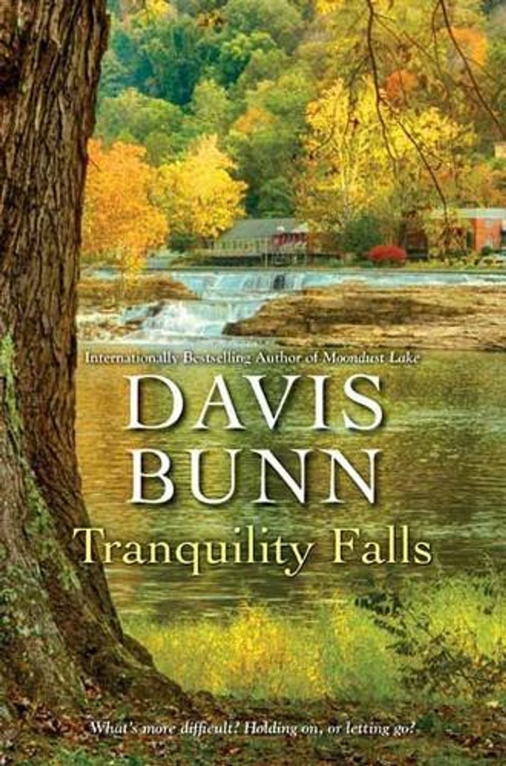 Tranquility Falls by Davis Bunn - ISBN: 9781496724991