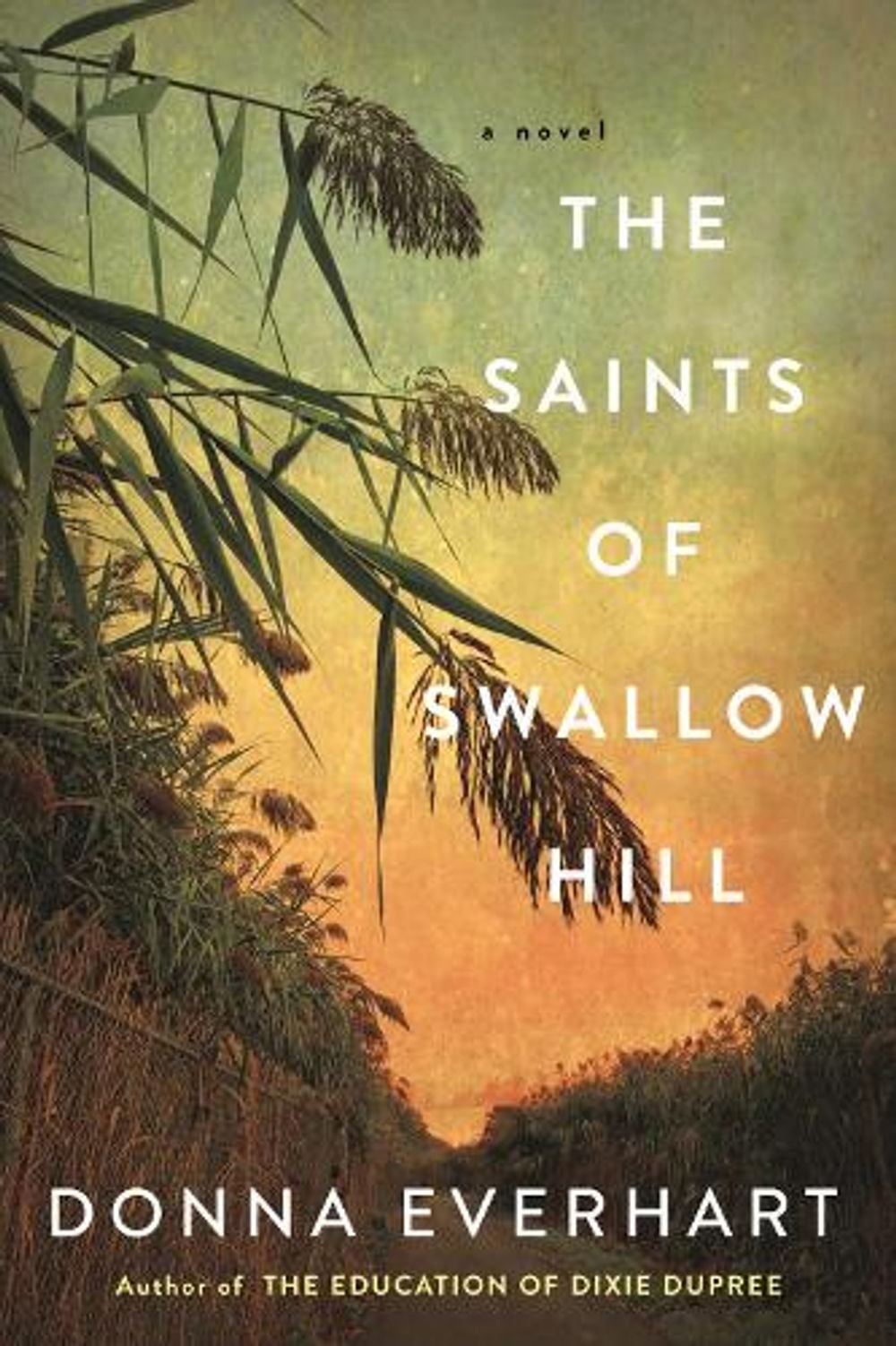 The Saints of Swallow Hill by Donna Everhart - ISBN: 9781496733320