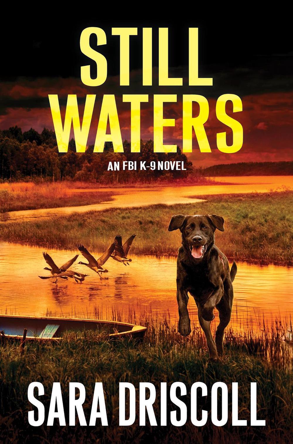 Still Waters by Sara Driscoll - ISBN: 9781496735065
