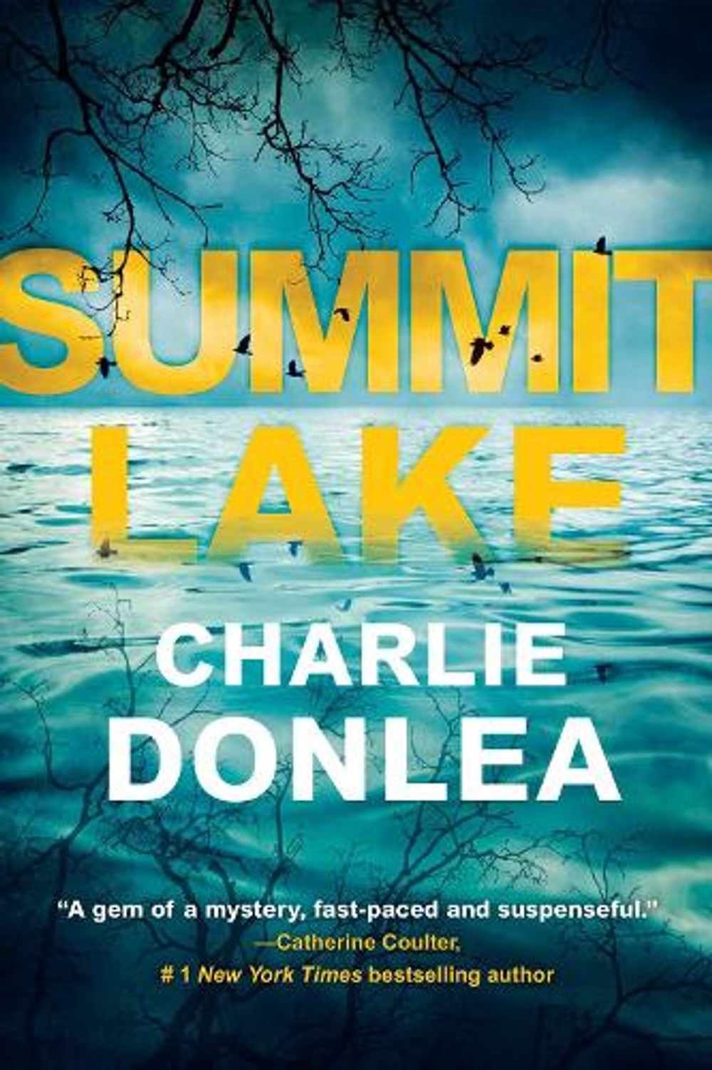 Summit Lake by Charlie Donlea - ISBN: 9781496736994