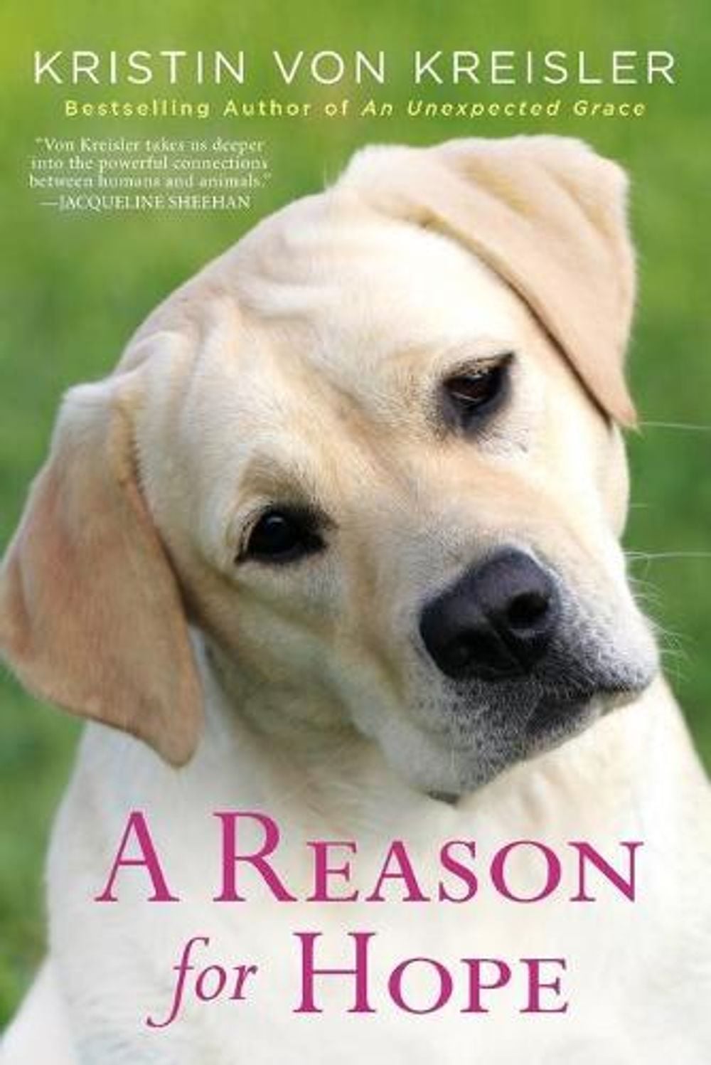 A Reason for Hope by Kristin von Kreisler - ISBN: 9781496737335