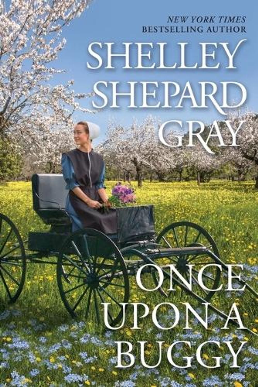 Once Upon a Buggy by Shelley Shepard Gray - ISBN: 9781496739865