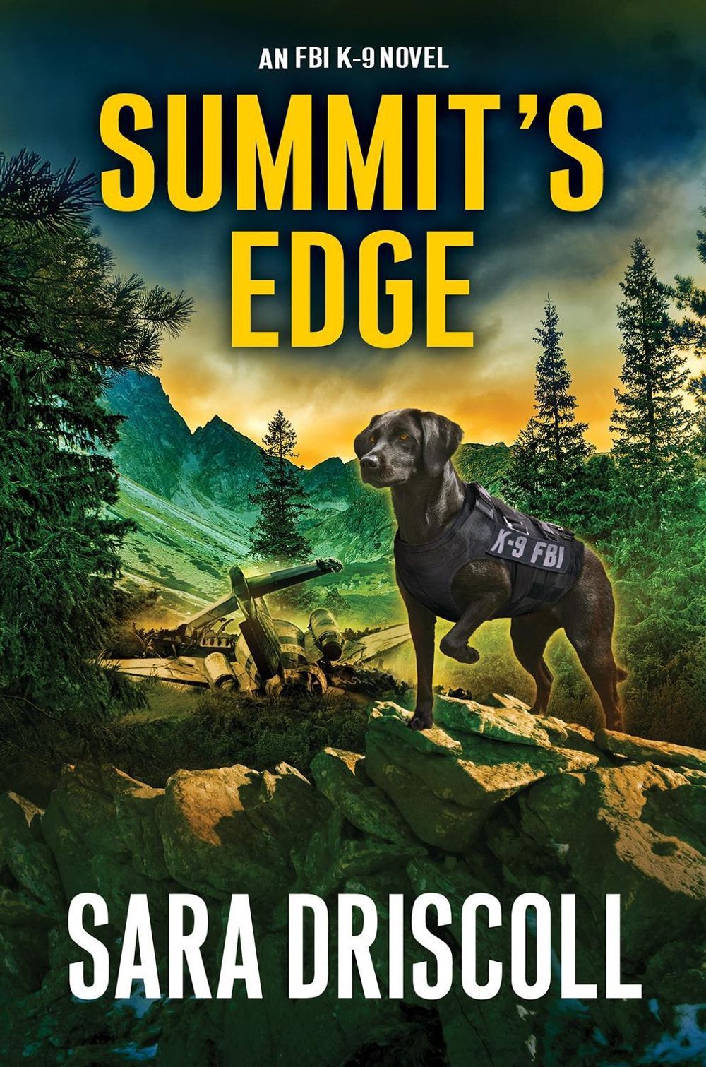 Summit’s Edge by Sara Driscoll - ISBN: 9781496744005