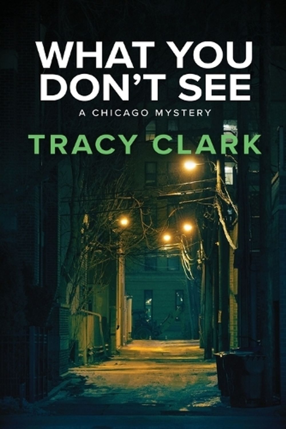 What You Don't See by Tracy Clark - ISBN: 9781496748669