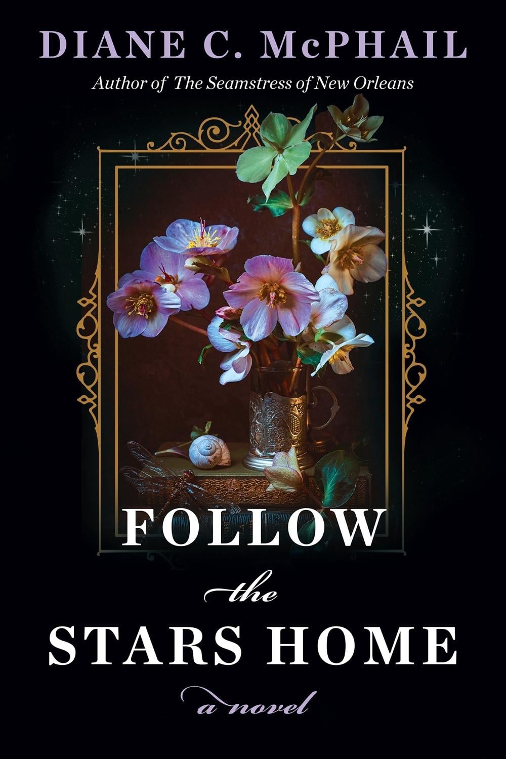 Follow the Stars Home by Diane C. McPhail - ISBN: 9781496750891