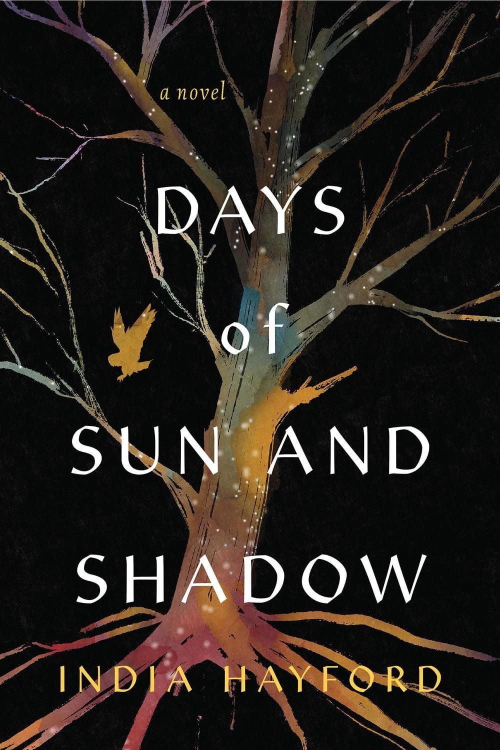 Days of Sun and Shadow by India Hayford - ISBN: 9781496753144