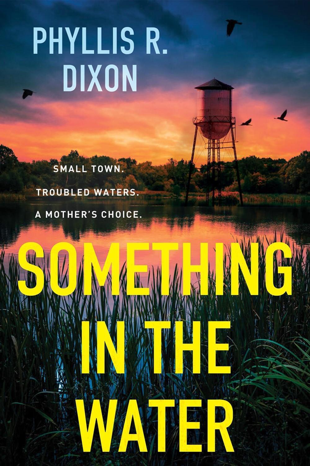 Something in the Water by Phyllis R. Dixon - ISBN: 9781496754196