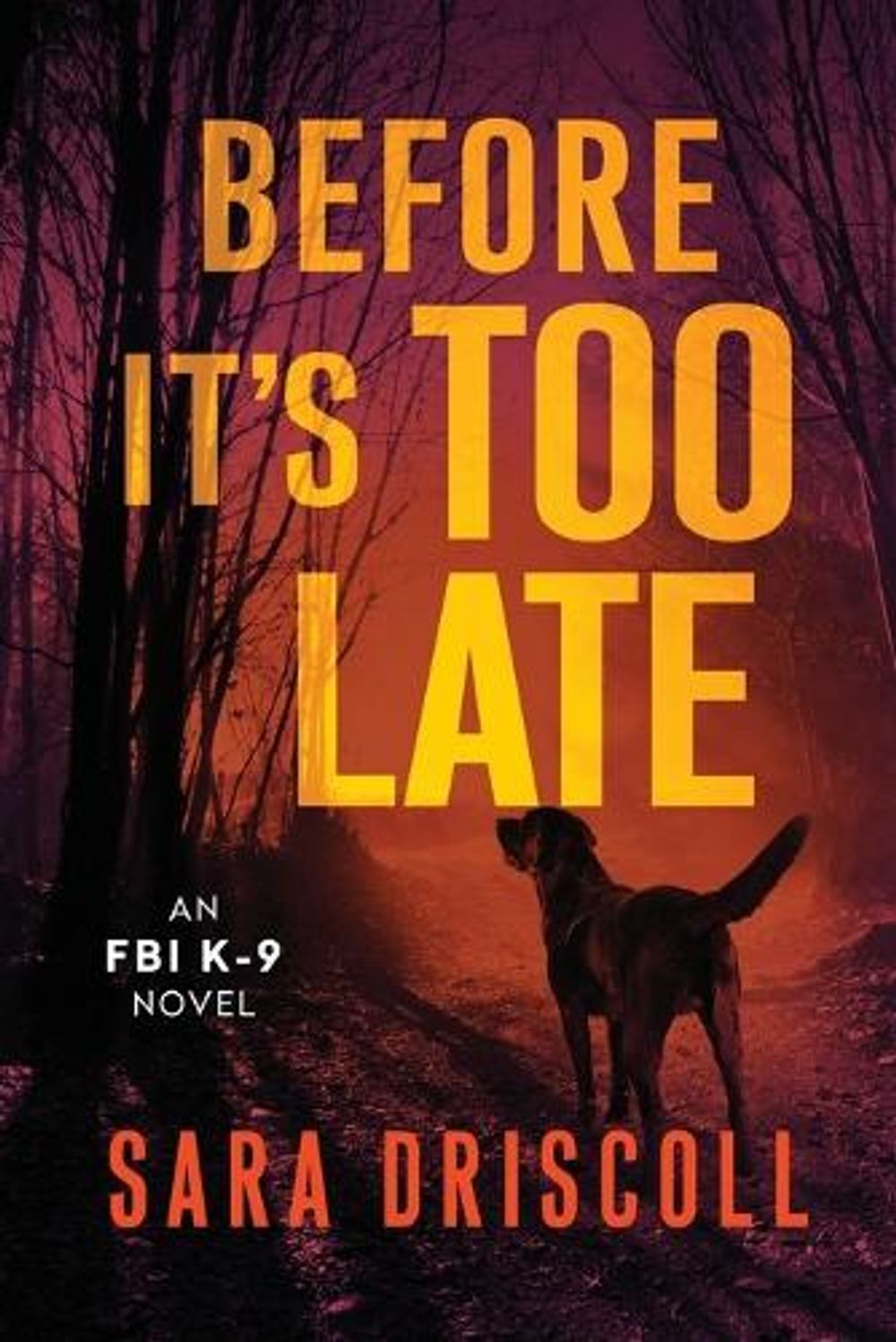 Before It's Too Late by Sara Driscoll - ISBN: 9781496754332
