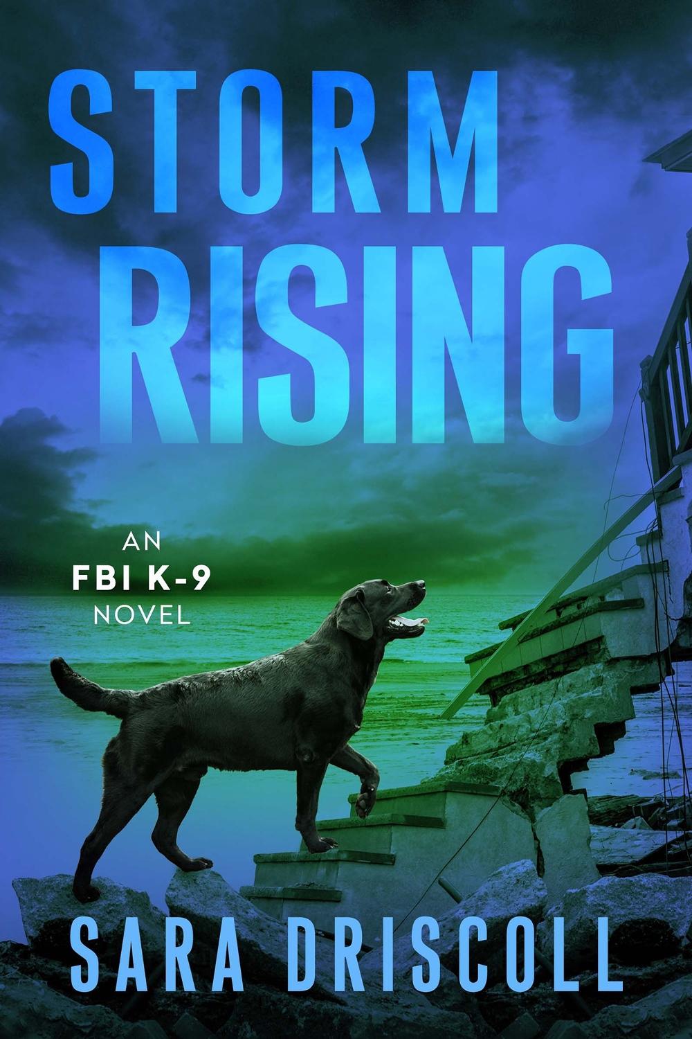 Storm Rising by Sara Driscoll - ISBN: 9781496754349