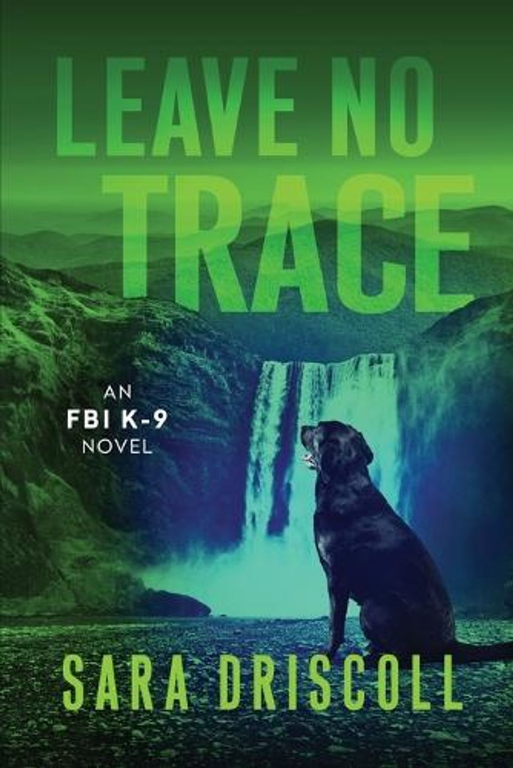 Leave No Trace by Sara Driscoll - ISBN: 9781496754363