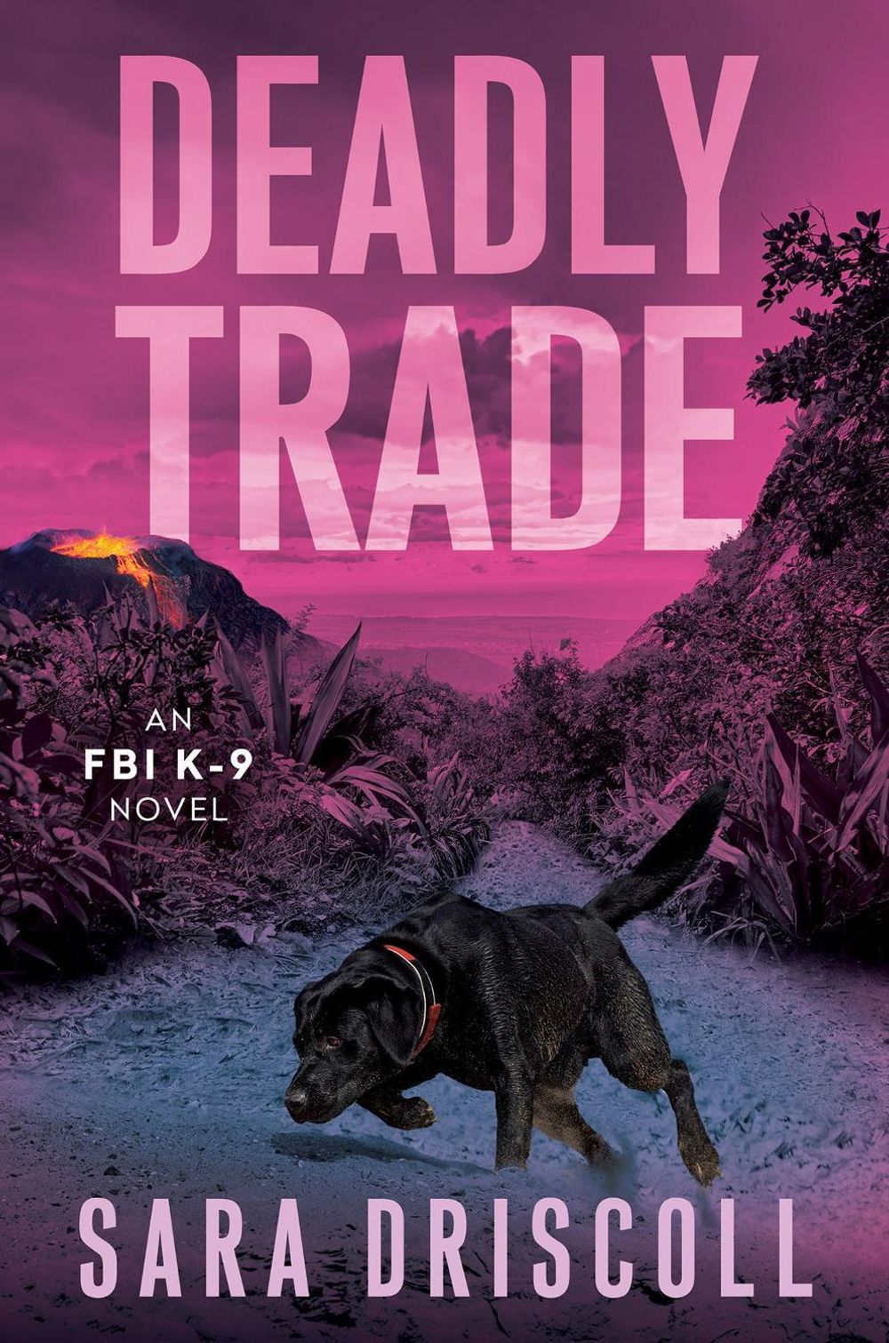 Deadly Trade by Sara Driscoll - ISBN: 9781496756312