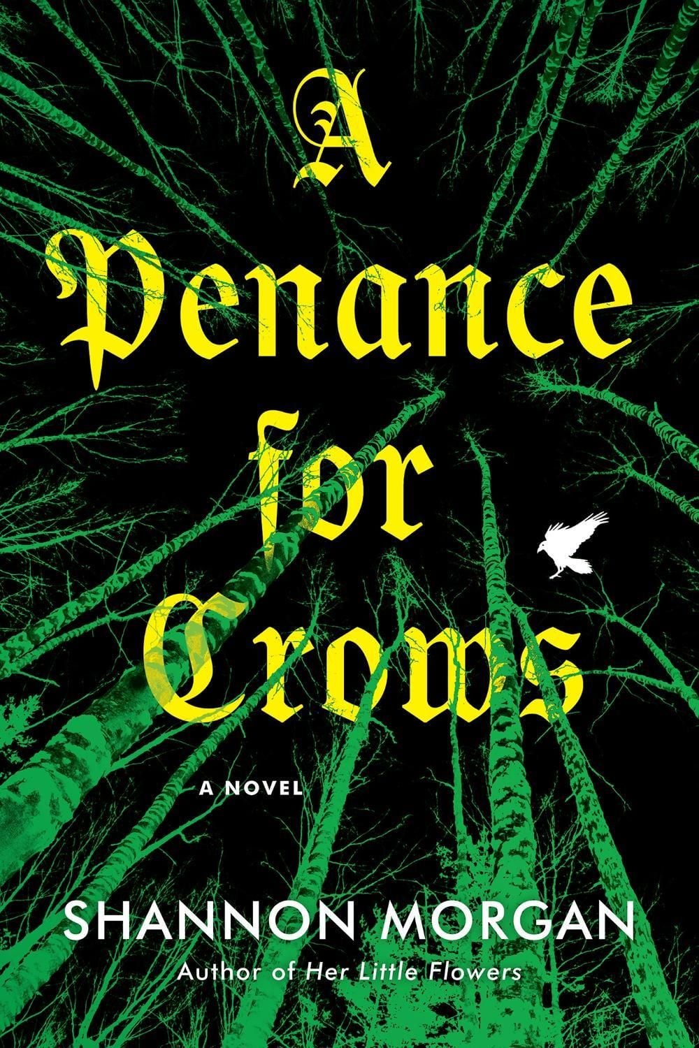A Penance for Crows by Shannon Morgan - ISBN: 9781496757982