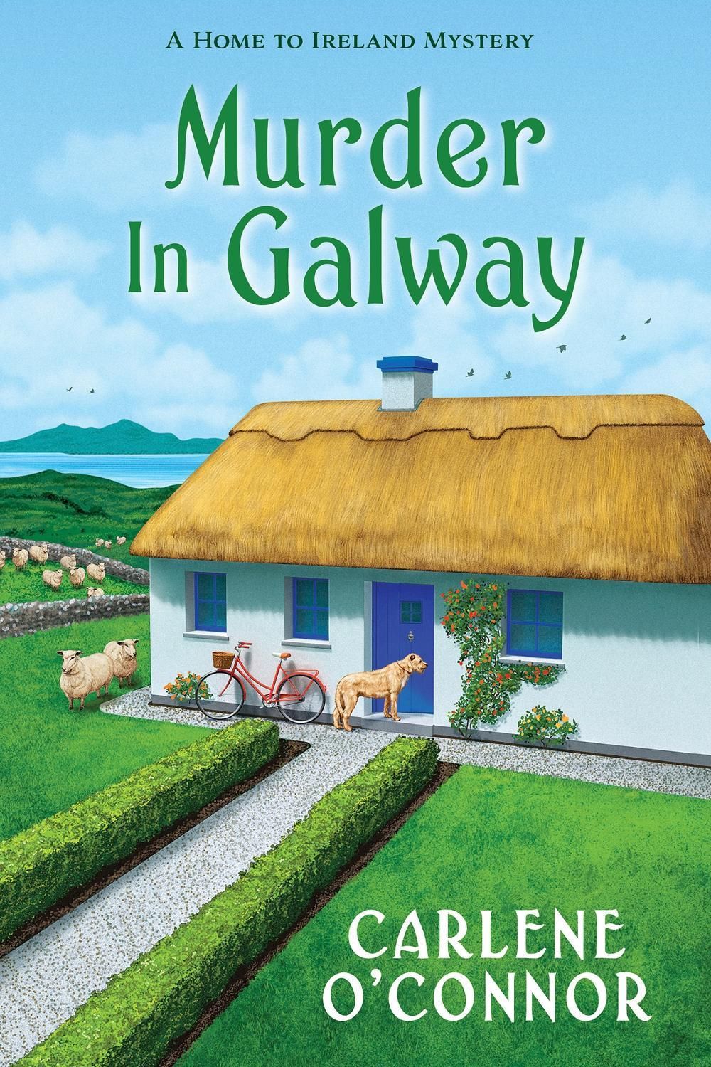 Murder in Galway by Carlene O'Connor - ISBN: 9781496764294