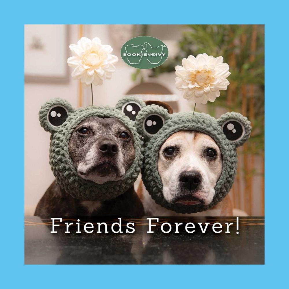 Sookie and Ivy Friends Forever! by Jani Oja - ISBN: 9781497105263