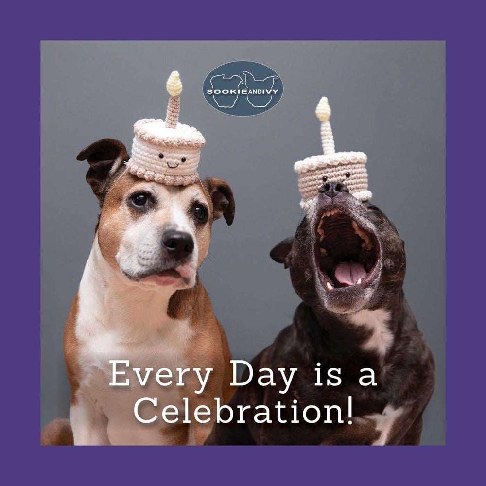 Sookie and Ivy Every Day Is a Celebration by Jani Oja - ISBN: 9781497105270